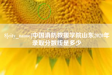 乌海中国消防救援学院山东2020年录取分数线是多少