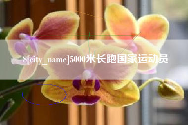 乌海5000米长跑国家运动员