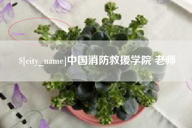 乌海中国消防救援学院 老师