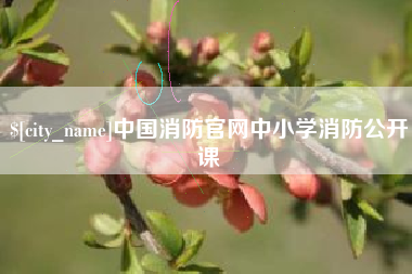 乌海中国消防官网中小学消防公开课