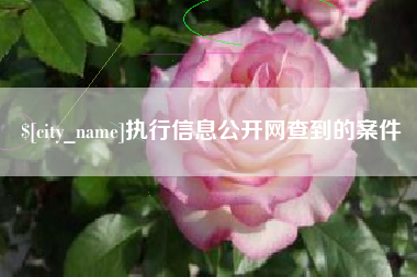 乌海执行信息公开网查到的案件