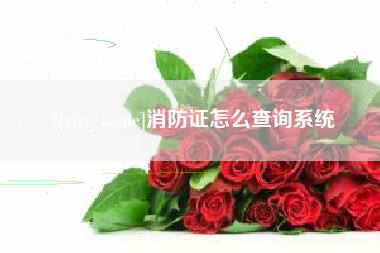 乌海消防证怎么查询系统