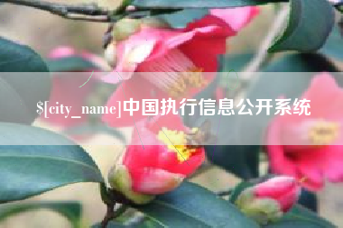 乌海中国执行信息公开系统