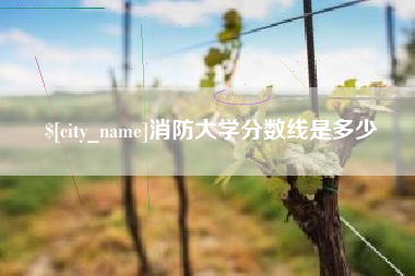 乌海消防大学分数线是多少