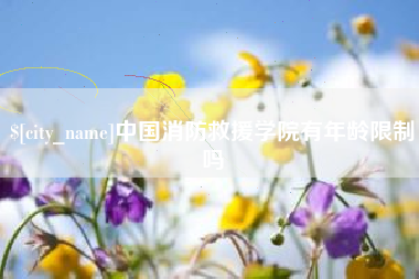 乌海中国消防救援学院有年龄限制吗