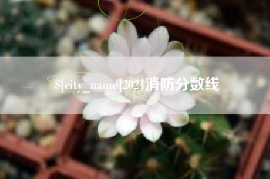 乌海2021消防分数线