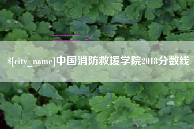 乌海中国消防救援学院2018分数线