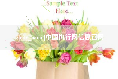 乌海中国执行网信息官网