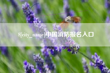 乌海中国消防报名入口