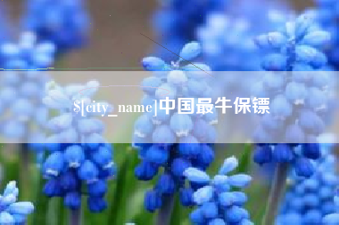 乌海中国最牛保镖