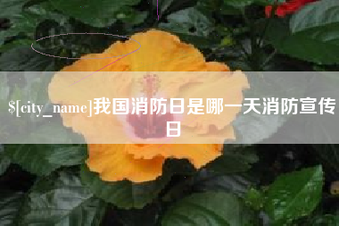 乌海我国消防日是哪一天消防宣传日