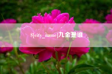 乌海九金是谁