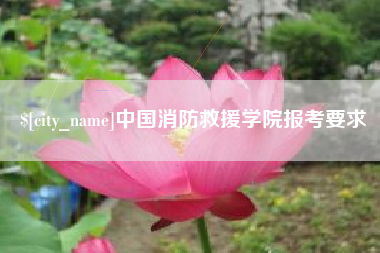 乌海中国消防救援学院报考要求