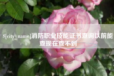 乌海消防职业技能证书查询以前能查现在查不到