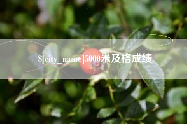 乌海5000米及格成绩