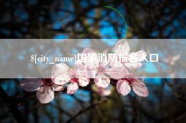 乌海国家消防报名入口