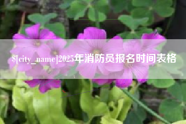 乌海2025年消防员报名时间表格
