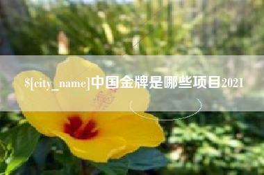 乌海中国金牌是哪些项目2021