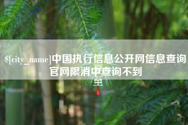 乌海中国执行信息公开网信息查询官网限消中查询不到