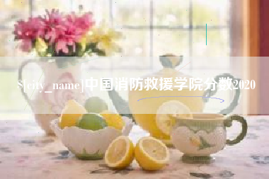 乌海中国消防救援学院分数2020