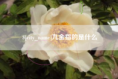 乌海九金指的是什么