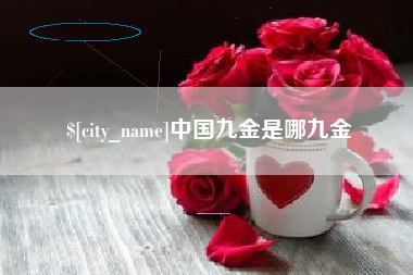 乌海中国九金是哪九金