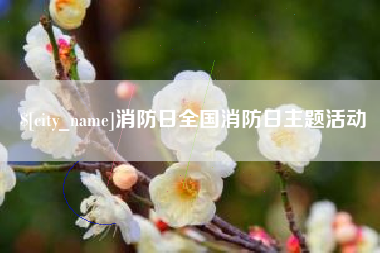 乌海消防日全国消防日主题活动