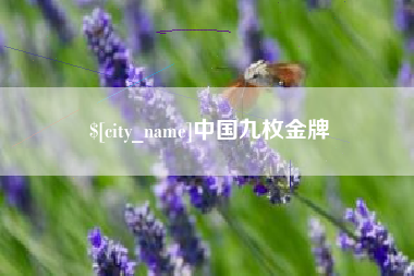 乌海中国九枚金牌