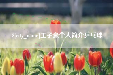 乌海王子豪个人简介乒乓球