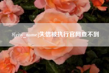 乌海失信被执行官网查不到