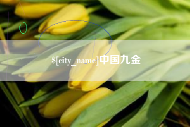 乌海中国九金