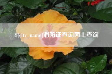 乌海消防证查询网上查询