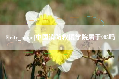 乌海中国消防救援学院属于985吗
