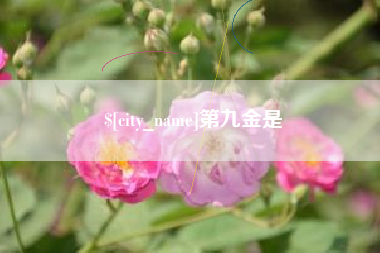 乌海第九金是