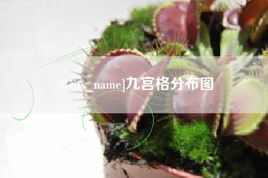 乌海九宫格分布图
