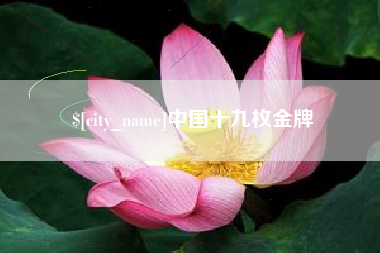 乌海中国十九枚金牌