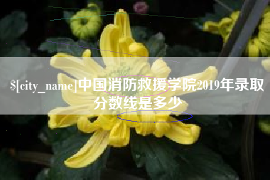 乌海中国消防救援学院2019年录取分数线是多少