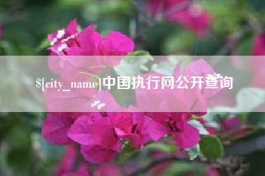 乌海中国执行网公开查询