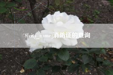 乌海消防证的查询