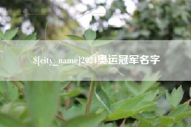 乌海2024奥运冠军名字
