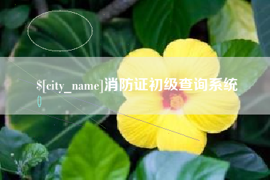 乌海消防证初级查询系统