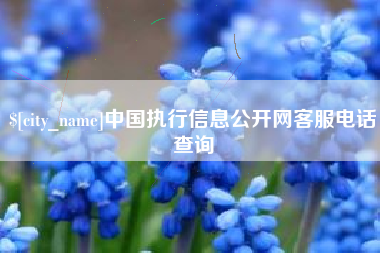 乌海中国执行信息公开网客服电话查询