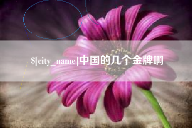 乌海中国的几个金牌啊