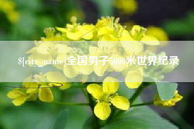 乌海全国男子5000米世界纪录