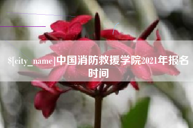 乌海中国消防救援学院2021年报名时间