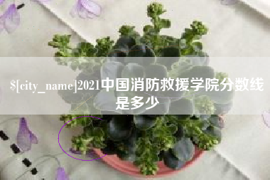 乌海2021中国消防救援学院分数线是多少