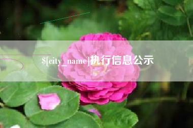 乌海执行信息公示
