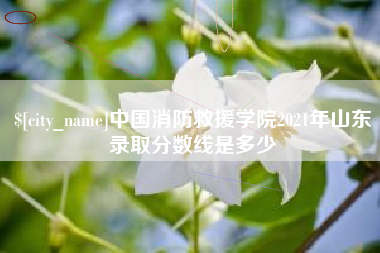 乌海中国消防救援学院2021年山东录取分数线是多少