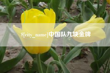 乌海中国队九块金牌