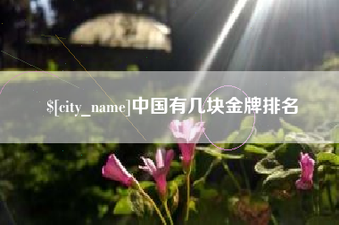 乌海中国有几块金牌排名